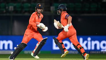 south africa vs netherlands