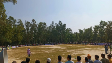savar.jpg