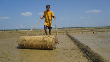 Salt farmers prepping early this year in hopes of higher profit