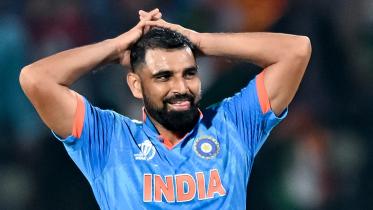 shami.jpg