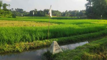muroichhara-river-1.jpg