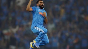 Shami.jpg