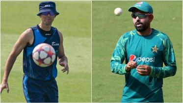 kiwi-pak.jpg