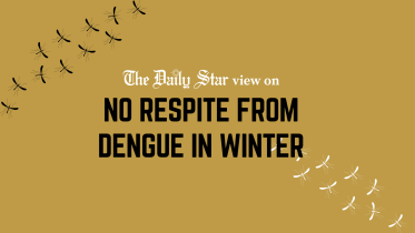 dengue in winter