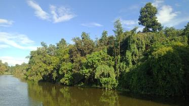 pabna-birds_sanctuary_photo-1.jpg