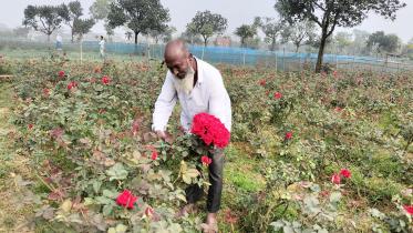 Flower farmers in Bangladesh 