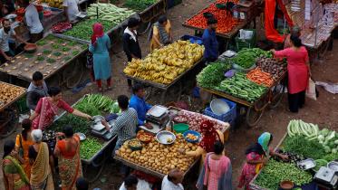 FAO food pricing report 