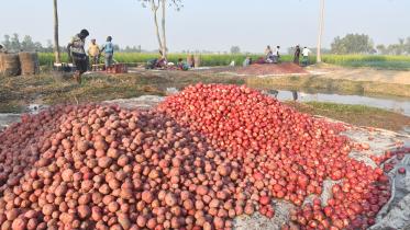potato price hike in bangladesh
