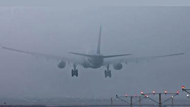 Biman flight lands in India