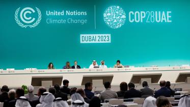 The truth is that neither the contents of the Dubai agreement, nor what was left out of it, will have much impact on climate change. FILE PHOTO: REUTERS