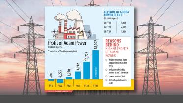 Revenue of Godda Power Plant