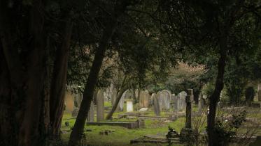 Beautiful cemeteries to visit around the world     edward-howell-2vpuutxhcaq-unsplash