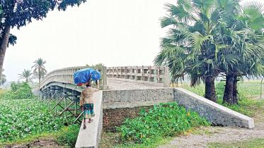 patuakhali.jpg