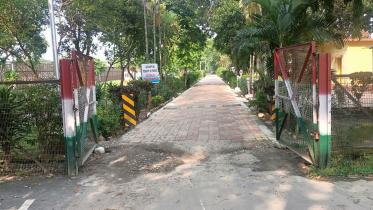 dahagram-1.jpg