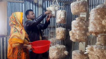 saiful-islam-1.jpg
