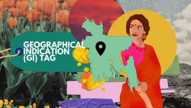 Geographical Indications (GIs) have become potent symbols of cultural heritage and economic clout. But what exactly are they, and why do they spark international debates?
