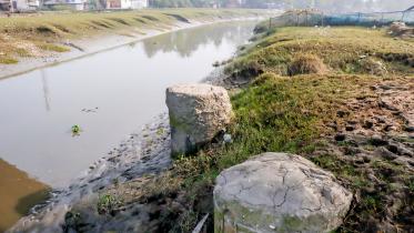 killing-hari-river-1.jpg