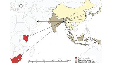 Wildlife Trafficking: Bangladesh remains a transit hotspot