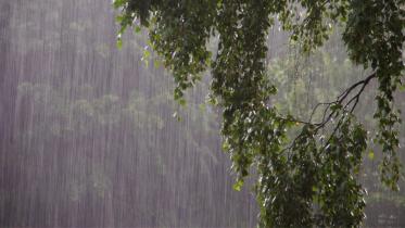 Rain likely in five divisions