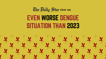 dengue outbreak 2024