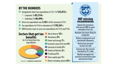 imf suggests tax free income limit