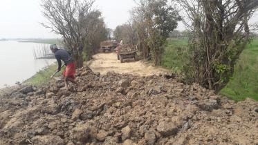 haor-dyke-construction.jpg