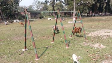 childrens-park.jpg