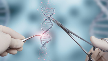 hiv-cell-culture.jpg