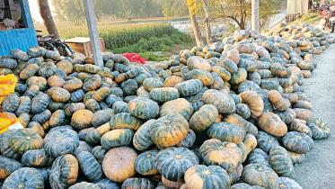 pumpkin.jpg