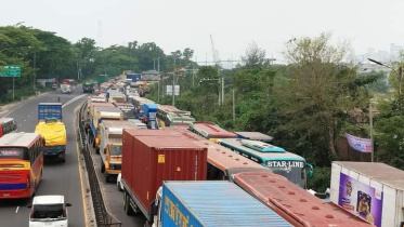 tailback.jpg