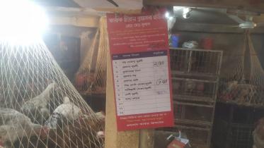 chicken price
