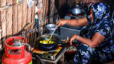 Coastal villagers shifted to LPG from Sundarbans firewood