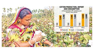 Cotton production, import and consumtion