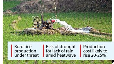 Dinajpur farmers reel from drought-like situation