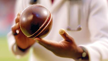 cricket.jpg