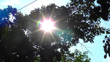 heatwave.jpg