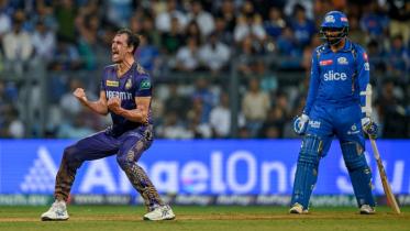 starc_1.jpg