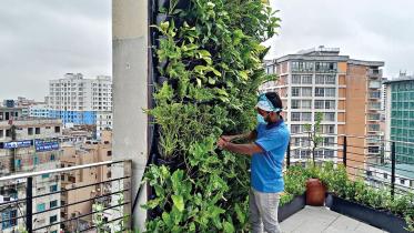 Professional gardeners for rooftop gardens