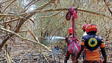 Sundarbans fire: Under control, not entirely doused yet