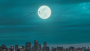 Beauty straight out of fairy tales: Why we can’t stop loving the moon     thula-na-ddj9pnyjric-unsplash.jpg