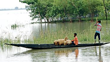 Flash flood in Sylhet: 6.43 lakh people stranded in eight upazilas