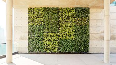 green-saving-green-1.jpg