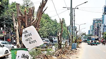 Govt alone felled over 7 lakh trees last year