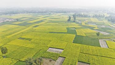 Chalan beel