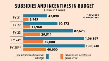Subsidies and incentives in Budget FY25