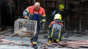 bangkok_pet_market_fire.jpg