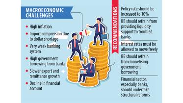 High bank borrowing by govt to crowd out private sector