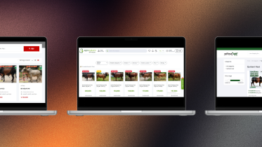 online cattle haats