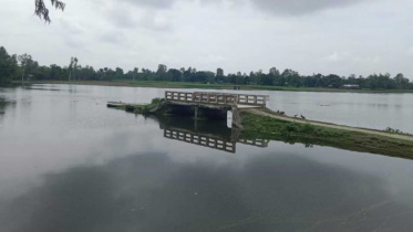 teesta.jpg