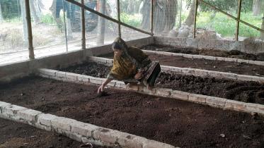 vermicomposting.jpg